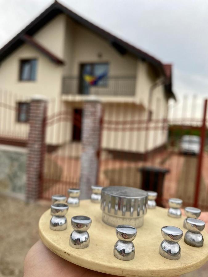 Casa Brancusiana Leilighet Târgu Jiu Eksteriør bilde